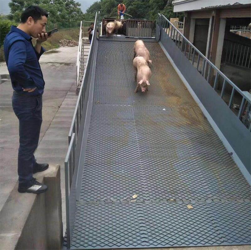卸豬臺(tái)液壓升降機(jī) 卸豬臺(tái)液壓升降機(jī)